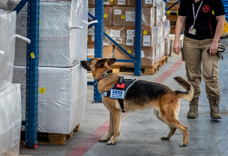 K9 köpekleriyle COVID-19 kontrolü başlıyor!