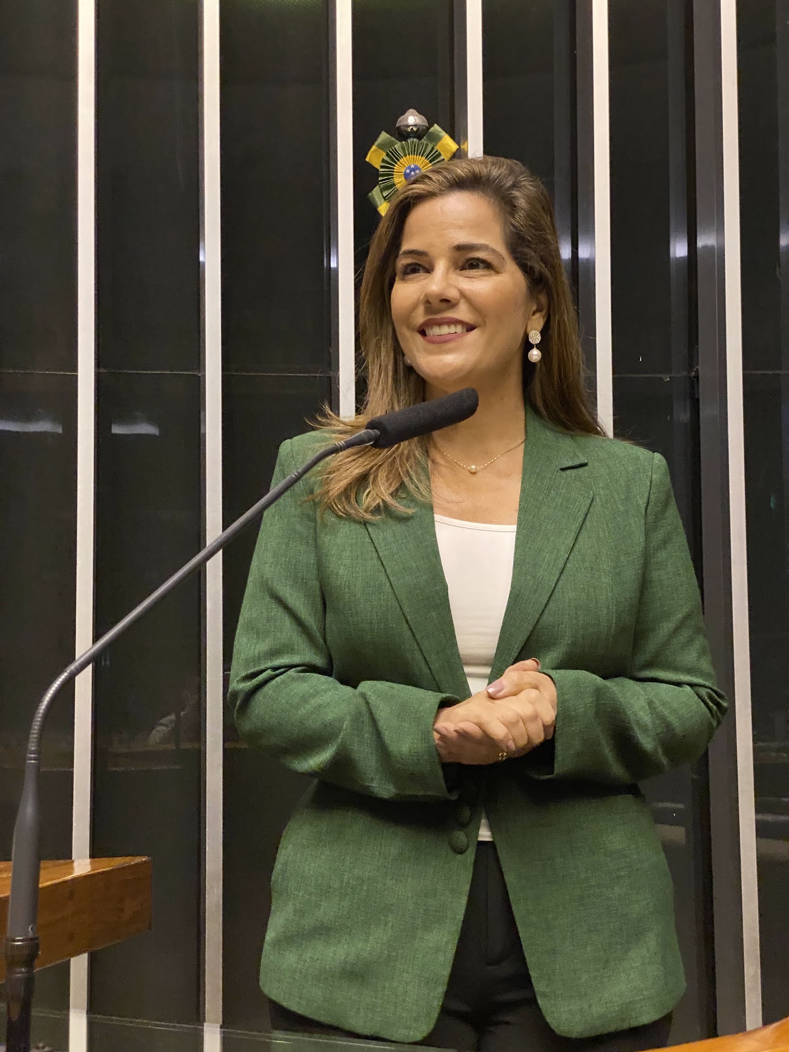 Mara Rocha aprova requerimentos para reunião presencial da Comissão de Agricultura da Câmara nos assentamentos São Luiz do Remanso e Baixa Verde