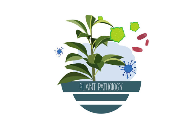 Plant diseases controlled by biological agent ginger in pathology