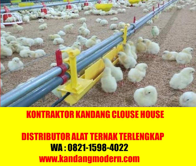 alat ternak ayam KEPAHIANG