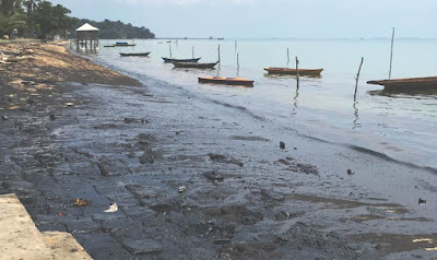 Setiap Musim Angin Utara, Si Hitam Tipe B3 Menghiasi Perairan dan Pantai di Batam