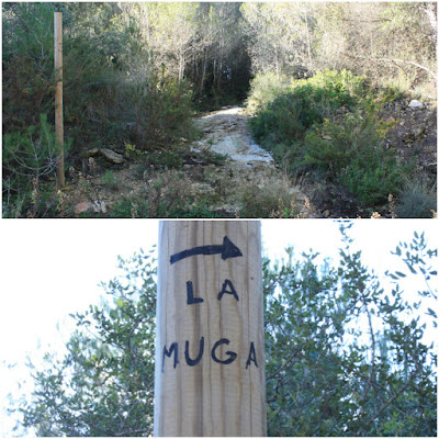 CIMS I COTES DEL BAIX PENEDÈS - BELLVEI AL CASTELL DE LA MUGA, corriol en direcció a La Muga, per l'antic camí de carro, Ruta-1, corriol pels Bufadors i Muntanya del Francisquet