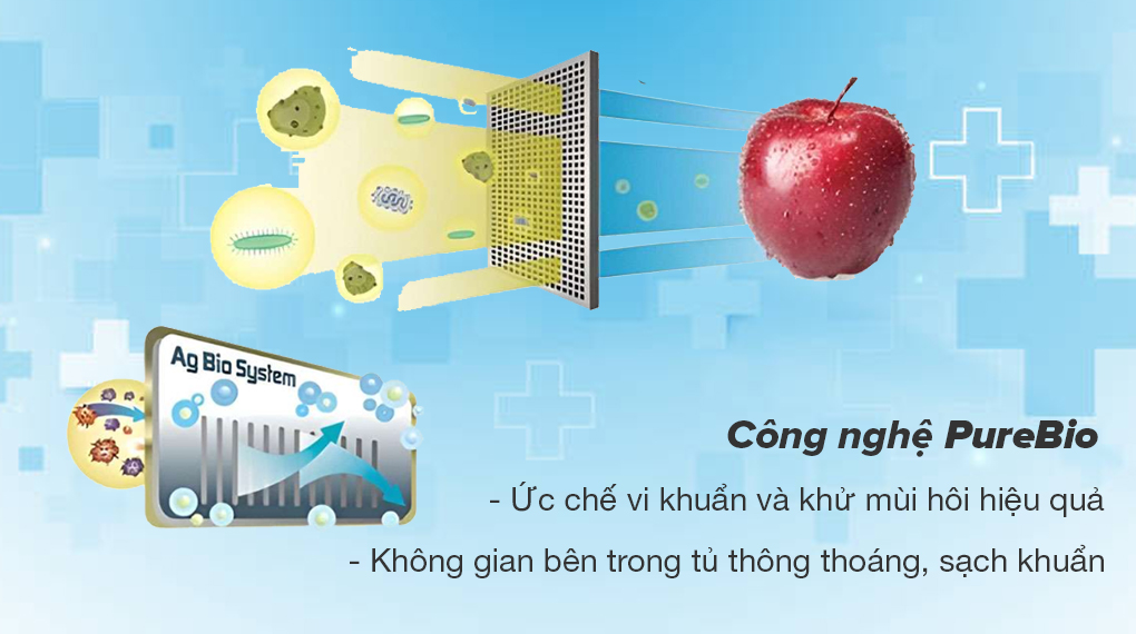Tủ lạnh Toshiba Inverter 233 lít GR-RT303WE-PMV(52) - Công nghệ PureBio kháng khuẩn và khử mùi hôi hiệu quả, giúp bảo quản thực phẩm tươi ngon hơn
