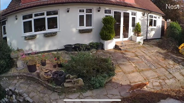 Google Nest Cam With Floodlight Review