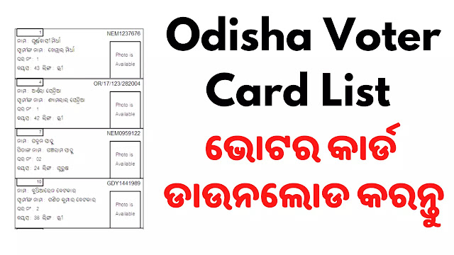 How to Download Voter list of my village Odisha Voter Card List