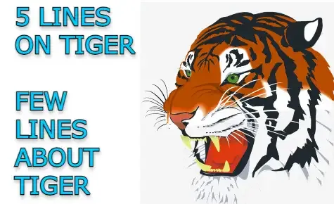 5 Lines on Tiger | Few Lines about Tiger