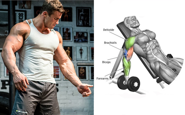 The 5 Best Bicep Exercises for Massive Arms