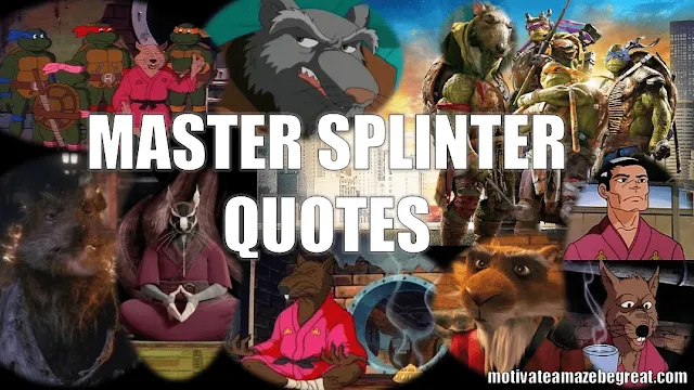 Master Splinter Quotes For Wisdom And Inspiration - Article Cover