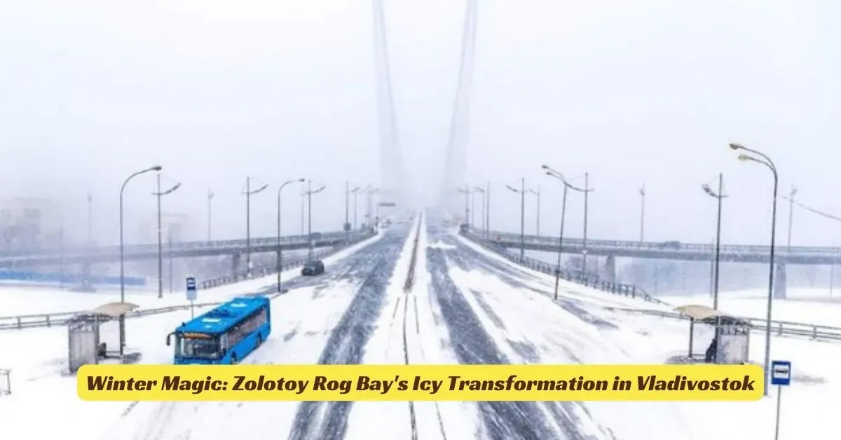 Winter Magic: Zolotoy Rog Bay's Icy Transformation in Vladivostok