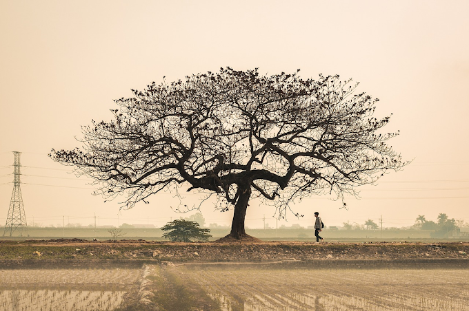 Sustainable Living Standards: Minimizing Environmental Damage for Future Generations