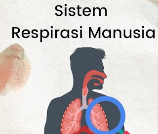 Teori Umum Mengenai Sistem Respirasi Manusia