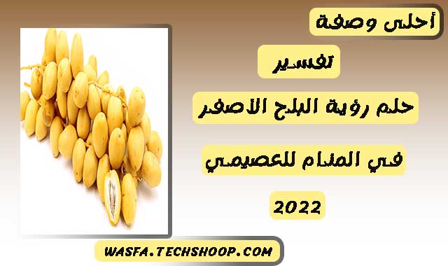 تفسير حلم رؤية البلح في المنام للعصيمي 2022