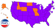 2024 Democratic Delegate Allocation