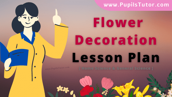Decoration Of Flowers Lesson Plan For B.Ed, DE.L.ED, M.Ed 1st 2nd Year And Class 6th Home Science Teacher Free Download PDF On Mega Teaching Skill Of Presentation In English Medium. - www.pupilstutor.com