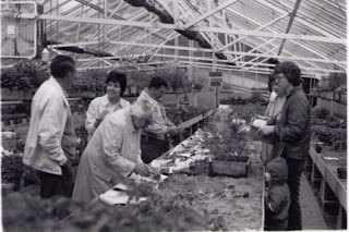 Tommy Thompson and Judi Loomis - Lakeview greenhouse