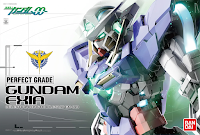 caja-perfect-grade-GN-001-Gundam-Exia