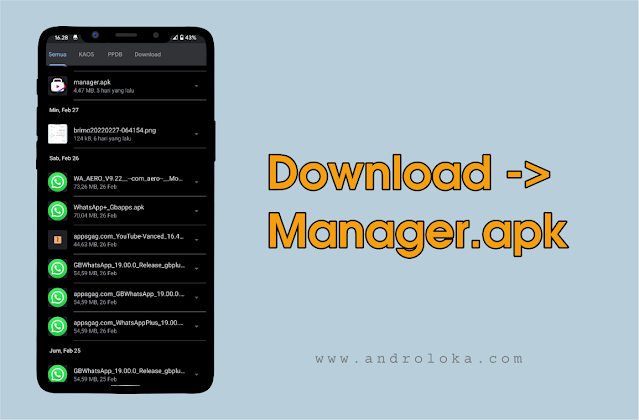 Download Manager.apk Youtube Vanced Apk