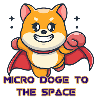 Micro Doge Space aims to build a Hybrid Cryptocurrency Exchange