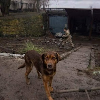 Personas son captadas huyendo con sus mascotas para salir de la zona de conflicto en Ucrania