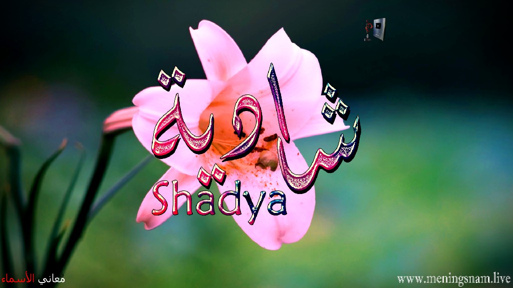 معنى اسم, شادية, وصفات حاملة, هذا الاسم, Shadya,