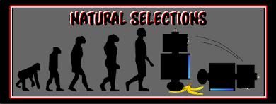 Natural Selections