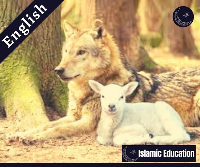 Islamic education and the concepts of essential elements of life