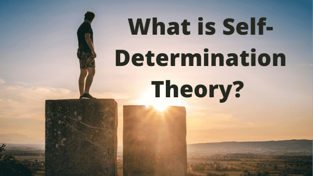 All About Self-Determination Theory Of Motivation