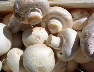 Mushroom subsidy in Assam.