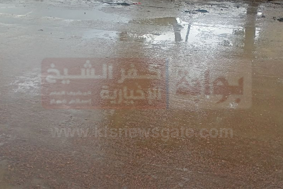 بالصور..رياح شديدة وهطول أمطار رعدية في كفر الشيخ