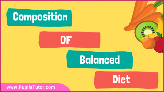 What Is A Healthy Balanced Diet? - Which Food Makes A Balanced Diet | Write Balanced Diet Chart For Healthy Living | Explain Balanced Diet Composition - www.pupilstutor.com