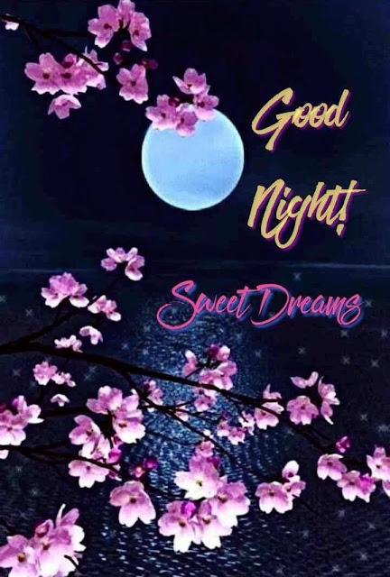 Good Night Images in English for Whatsapp