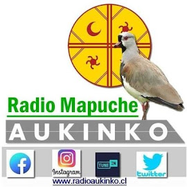 Radio Mapuche