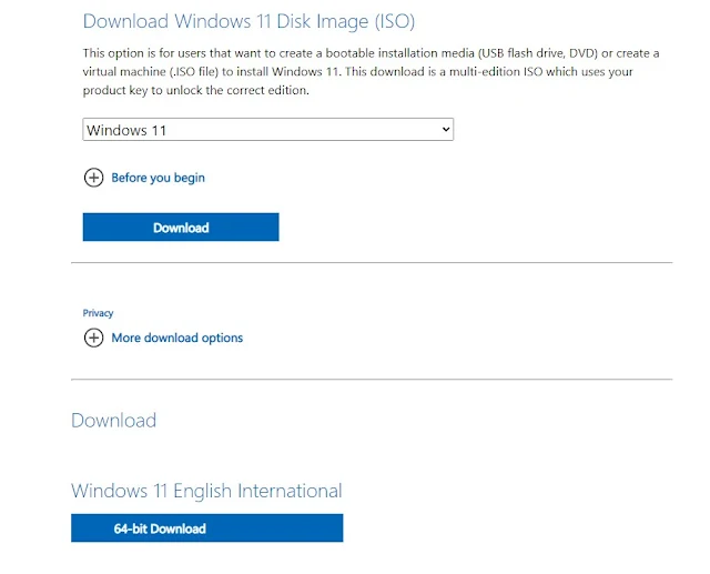 Download Windows 11 ISO File 64bit Free