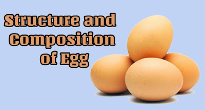 Egg Structure and its chemical composition