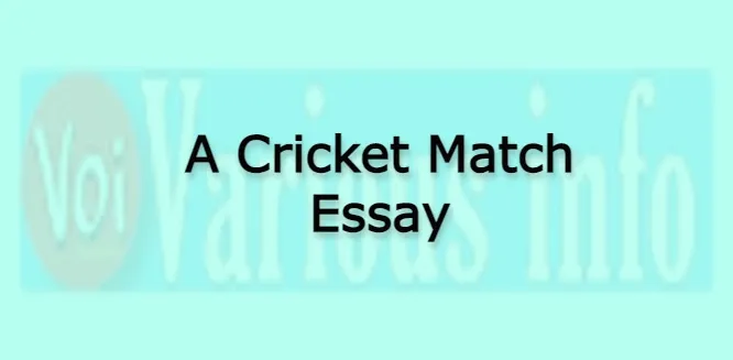 A Cricket Match Essay for students in English