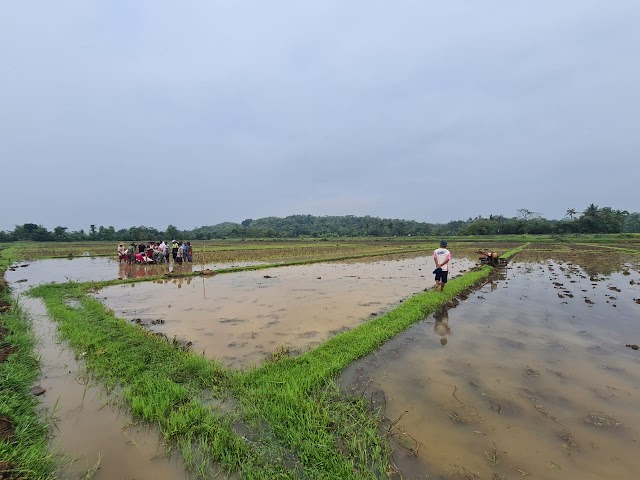 Innalillahi, Warga Buayan Meninggal Tersambar Petir Saat Membajak Sawah