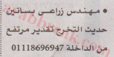 اهم وافضل الوظائف اهرام الجمعة وظائف خلية وظائف شاغرة على عرب بريك