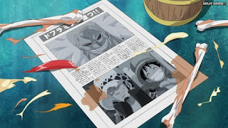 ワンピースアニメ ドレスローザ編 736話 | ONE PIECE Episode 736