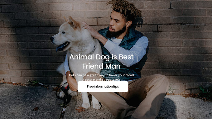 Animal Dog is Best Friend Man: The Benefits of Having a Pet.2022|2023.