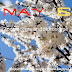 Horoscope: May 6 zodiac sign