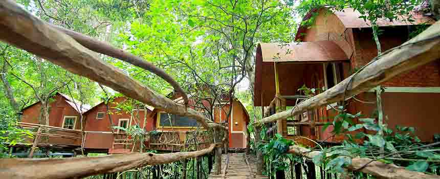 Bamboo huts - adavi