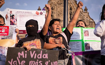 Conavim niega declarar alerta nacional por feminicidio y violencia contra las mujeres