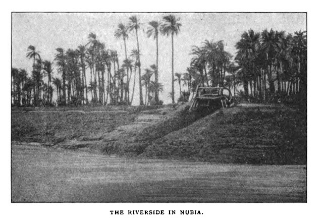 جانب النيل في النوبة