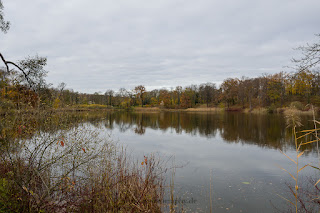 Naturfotografie Schwielowsee Havel Schloss Petzow