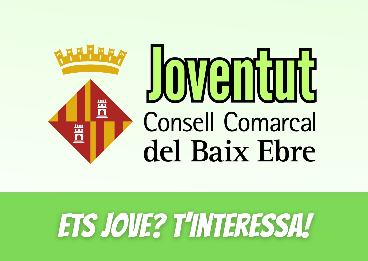 Nova eina de joventut web Consell Comarcal