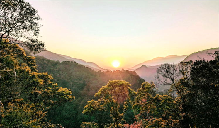 ✜ 里山能高賽德克生態旅遊培力