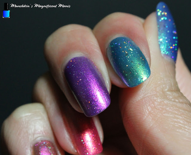 olo Taco Lite Mode Collection- with Holo Taco Holo Topcoats