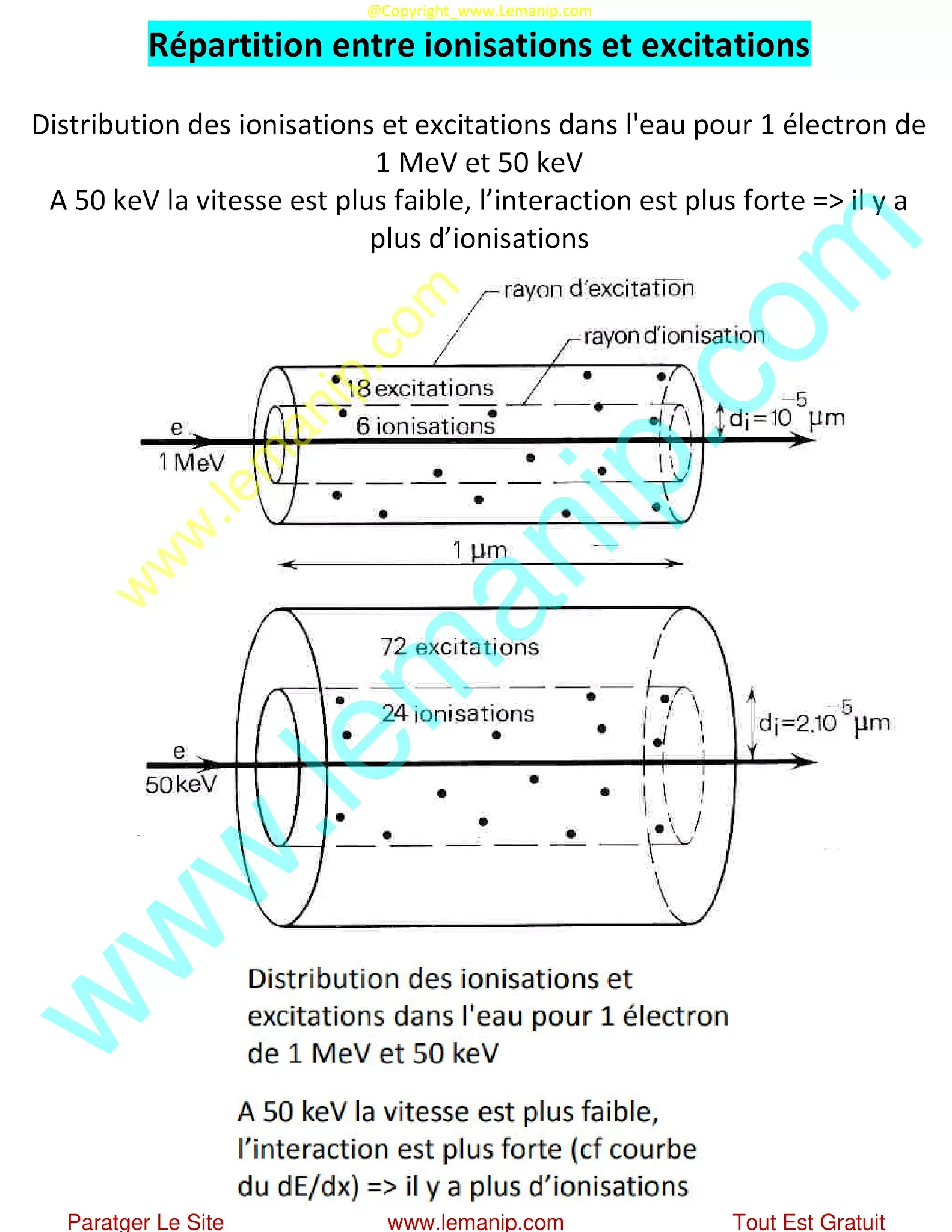 Répartition entre ionisations et excitations