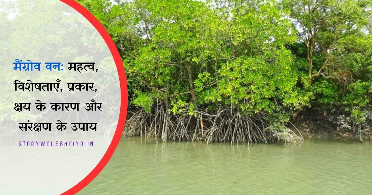 Mangrove Forest In Hindi