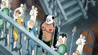 ワンピースアニメ WCI編 812話 | ONE PIECE Episode 812